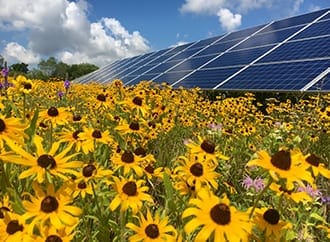 Debunking Common Solar Energy Myths